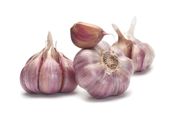 Ajo morado
